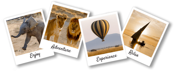 Contact_us Contact_us